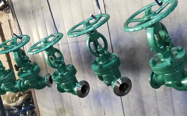 真空隔離截止閥NKJ61H,NKJ41H實物圖2 真空隔離截止閥NKJ61H,NKJ41H實物圖